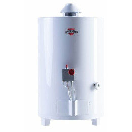 TERMOTANQUE MULTIGAS PIE 50L