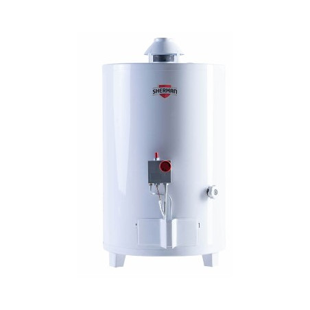 TERMOTANQUE MULTIGAS PIE 50L