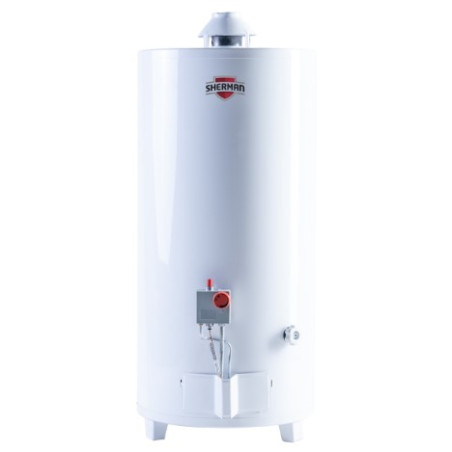 TERMOTANQUE MULTIGAS PIE 80L