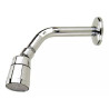 DUCHA CROMADA ABS