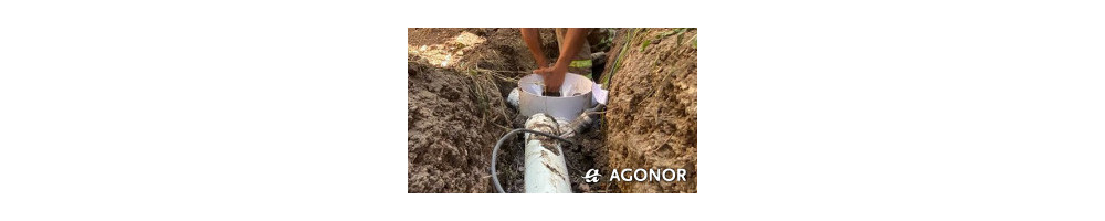 AGONOR