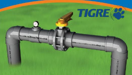 TIGRE